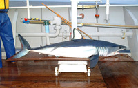 Isurus oxyrinchus, Shortfin mako: fisheries, gamefish