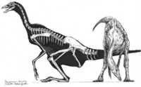 Dromiceiomimus