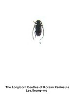 정하늘소 - Sciades fasciatus