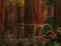 Dromiceiomimus