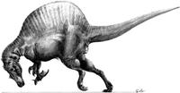 Spinosaurus