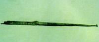 Halicampus grayi, Gray's pipefish: