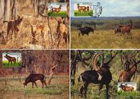 Angola Giant Sable Antelope Set of 4 official Maxicards