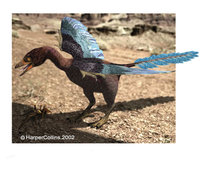 Archaeopteryx