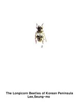 닮은새똥하늘소 - Pogonocherus fasciculatus