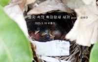 휘파람새 새끼