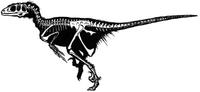 Deinonychus