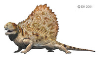 Dimetrodon