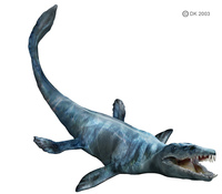 Mosasaurus