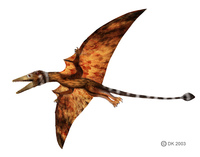 Eudimorphodon