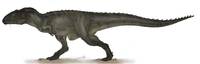 Carcharodontosaurus