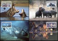 Congo Common Hippo Set of 4 official Maxicards