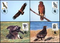 Georgia Greater Spotted Eagle Set of 4 official Maxicards
