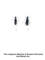 애숭이꽃하늘소 - Alosterna chalybeela