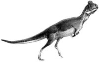 Cryolophosaurus