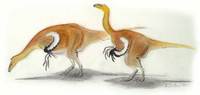 Alxasaurus