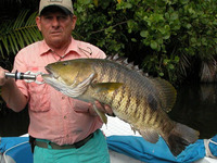 Lutjanus goldiei, Papuan black snapper: fisheries, gamefish