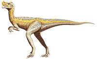 Oviraptor