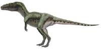 Alioramus