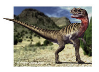 Ceratosaurus