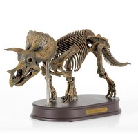 Triceratops Skeleton