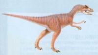 Allosaurus