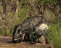 Tyrannosaurus