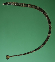 Micrognathus andersonii, Shortnose pipefish: