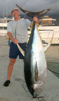 Thunnus albacares, Yellowfin tuna: fisheries, gamefish