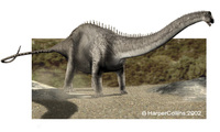 Diplodocus