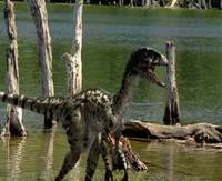 Utahraptor