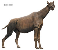 Indricotherium