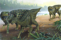 Iguanodons by Todd Marshall