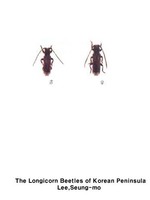 뾰족날개하늘소 - Atimura japonica