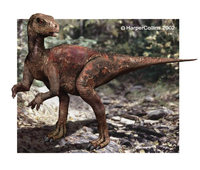Hypsilophodont