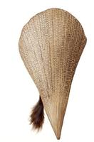 Image of: Pinna nobilis