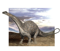 Apatosaurus