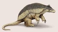 Image of: Priodontes maximus (giant armadillo)