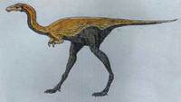 Mononykus