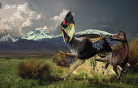 Titanis hipparion