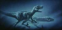 Megaraptor