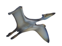 Quetzalcoatlus