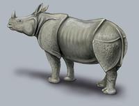 Image of: Rhinoceros unicornis (Indian rhinoceros)