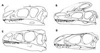 Tyrannosauroid /