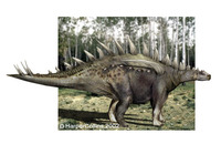 Huayangosaurus