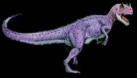 Ceratosaurus