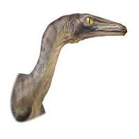 Troodon