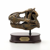 Tyrannosaurus Skull - Brown