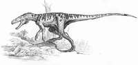 Herrerasaurus