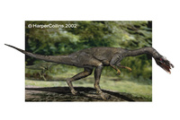 Coelophysis